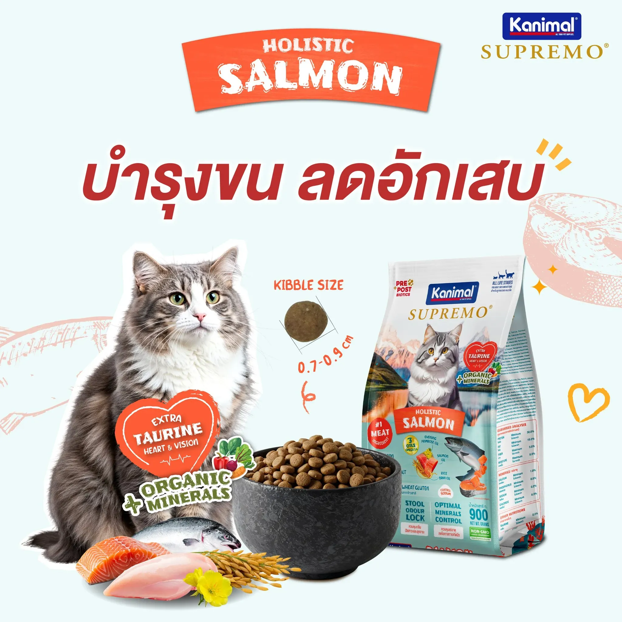 Kanimal Supremo อาหารแมว สูตร Salmon ปลาแซลมอน (900g x 10 ถุง)