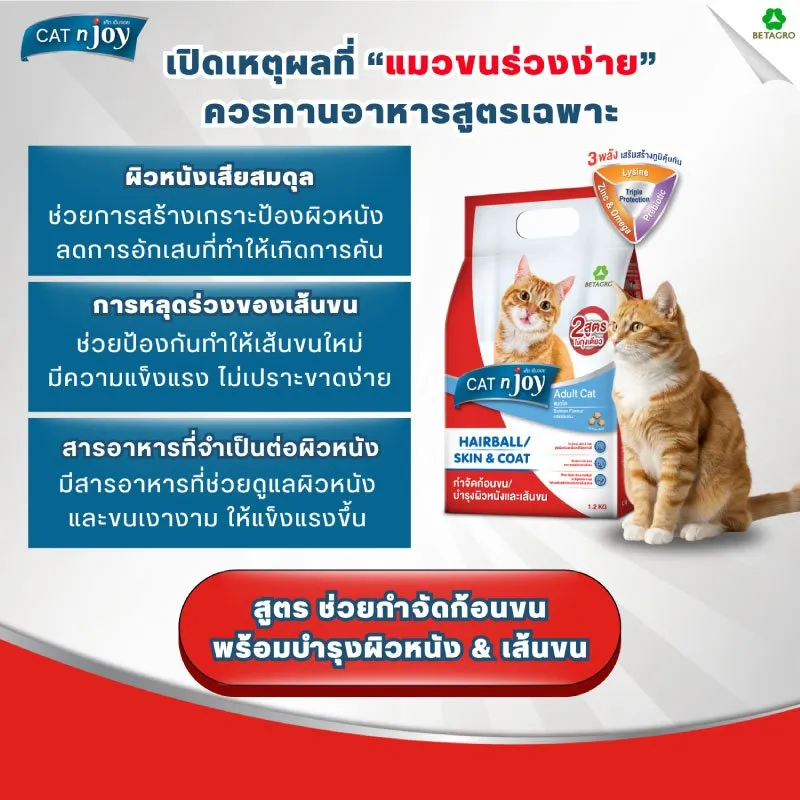 Cat N Joy Multi อาหารแมว สูตรกำจัดก้อนขน&บำรุงขน (Hairball / Skin & Coat)