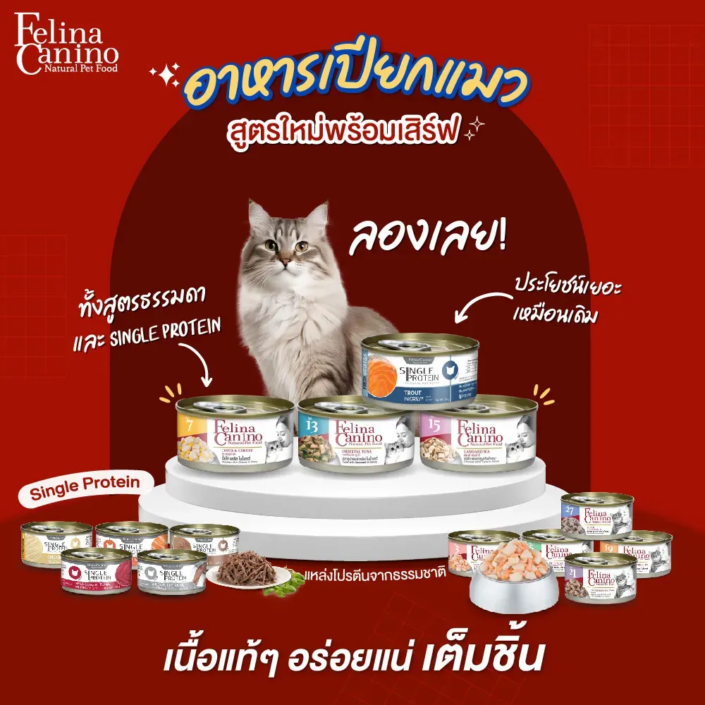 Felina Canino อาหารเปียกแมวกระป๋อง 70g