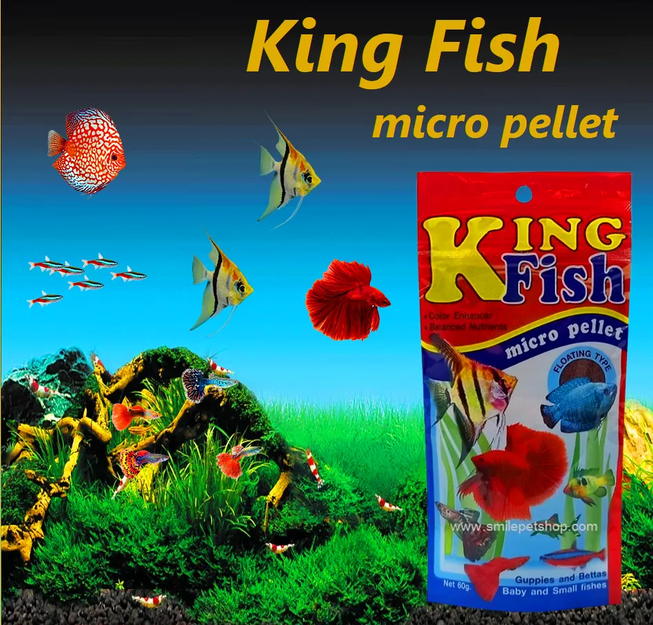 King Fish Micro Pellet (60 กรัม)