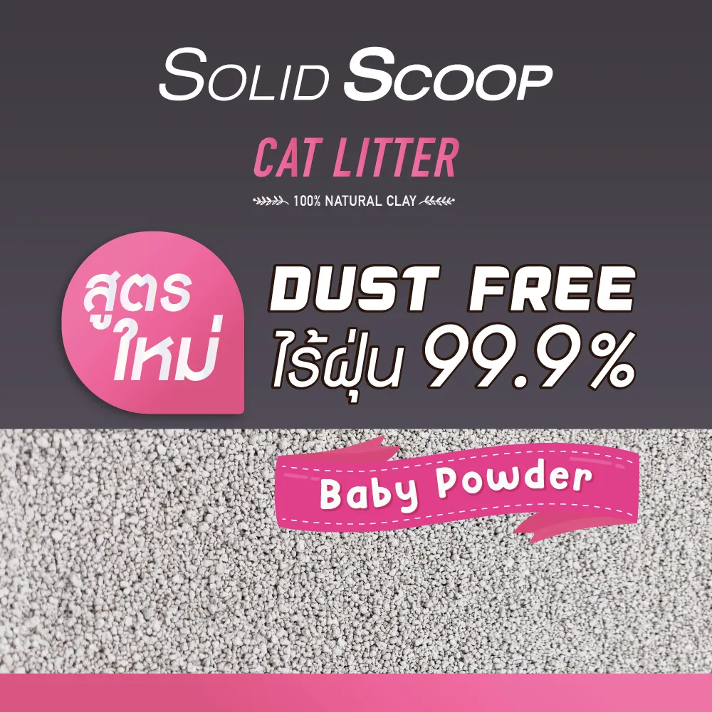 Solid Scoop Dust 15L ทรายภูเขาไฟ กลิ่นแป้งเด็ก