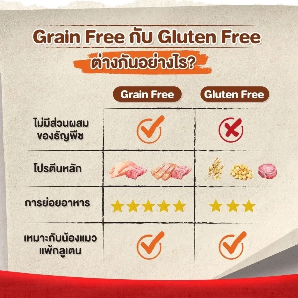 Cat N Joy Grainfree อาหารสำหรับแมวโต