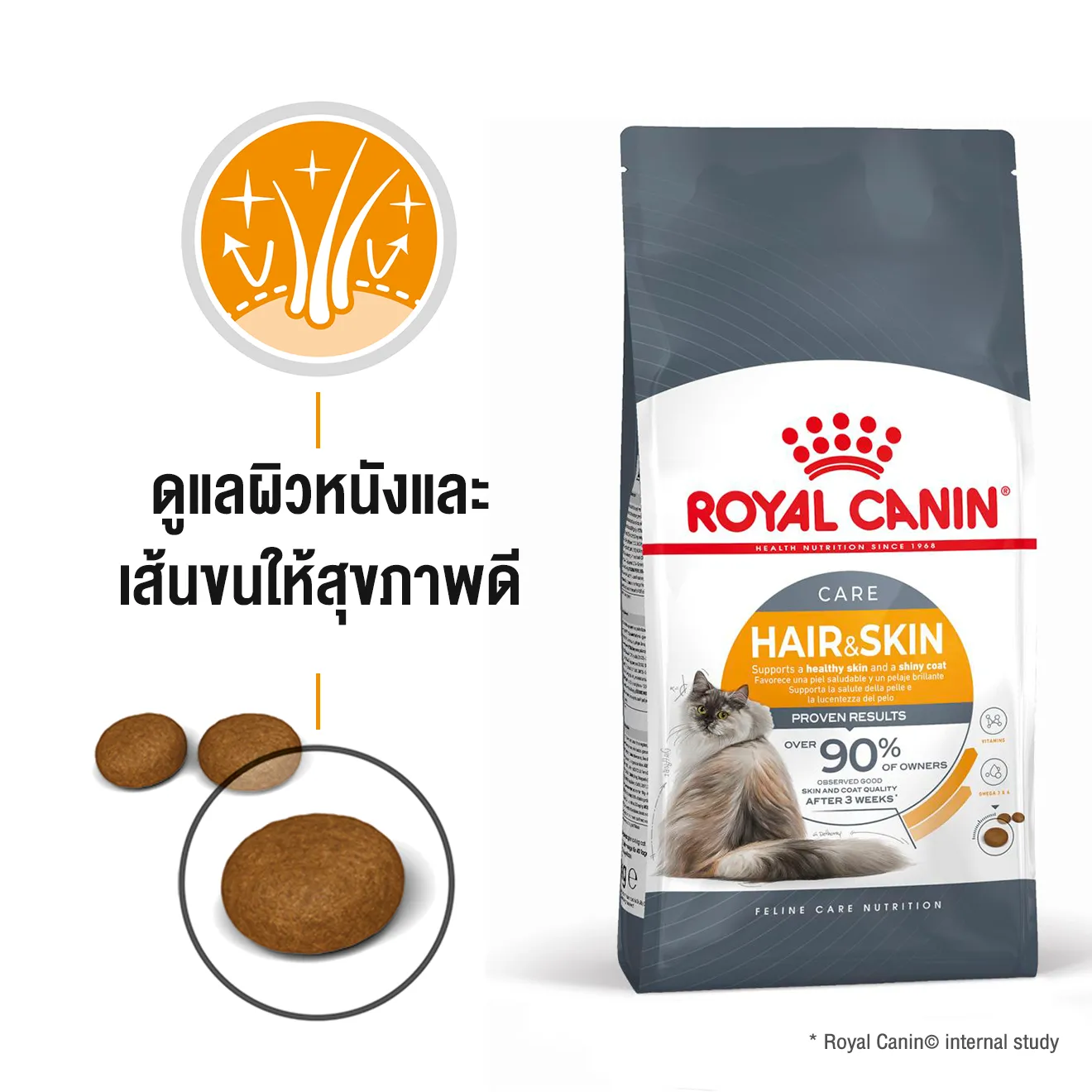 Royal Canin Hair&Skin อาหารสำหรับแมวโต สูตรบำรุงขนและผิวหนัง