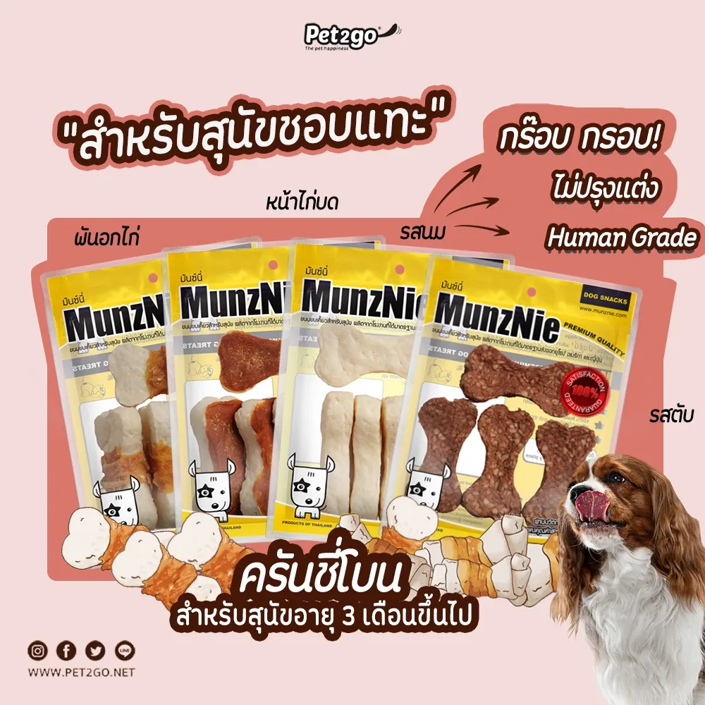 Munznie ขนมสุนัขครั้นชี่/มันชี่