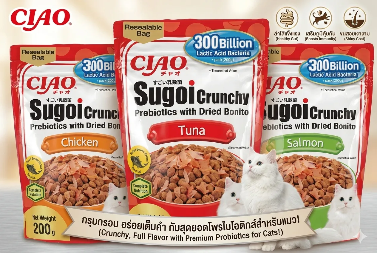 Ciao Sugoi ครันชี่ ขนมเม็ดแมว