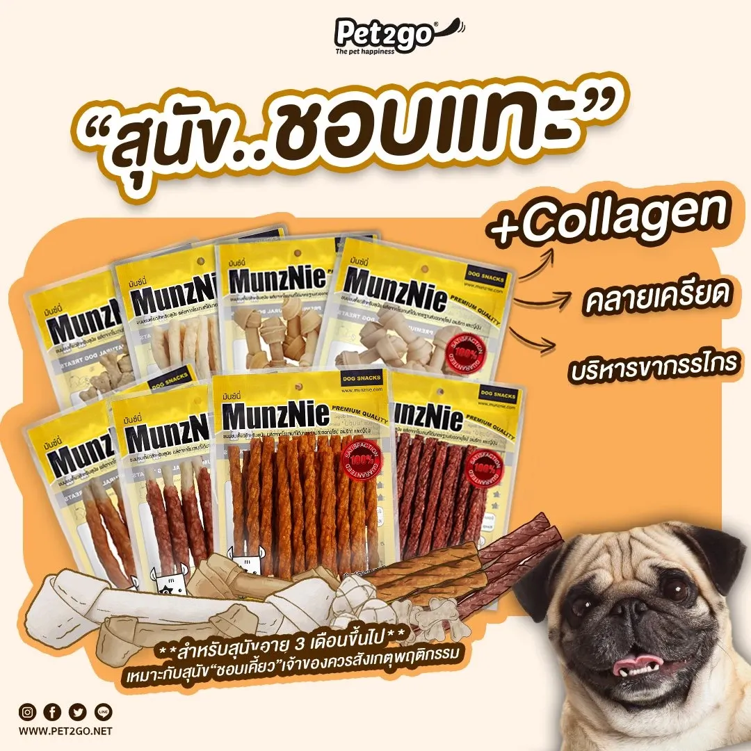 Munznie ขนมสุนัขคละแบบ