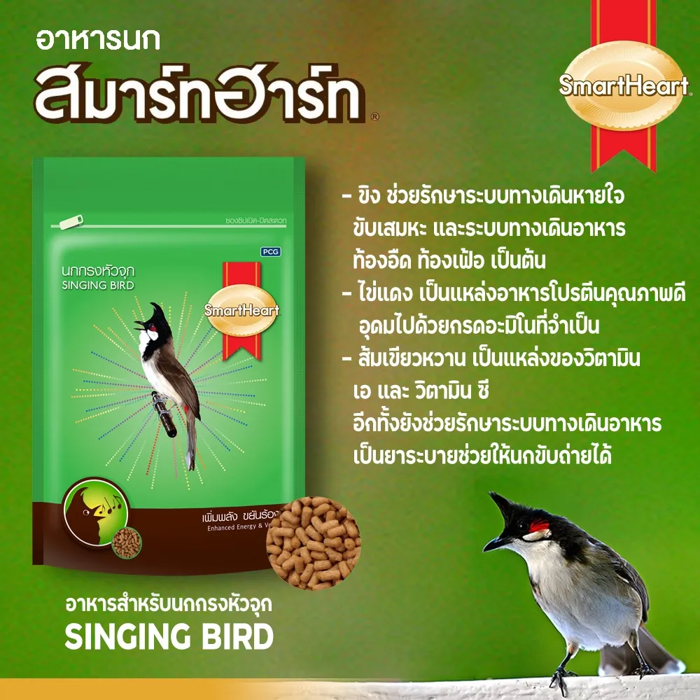 Smartheart Singing Bird