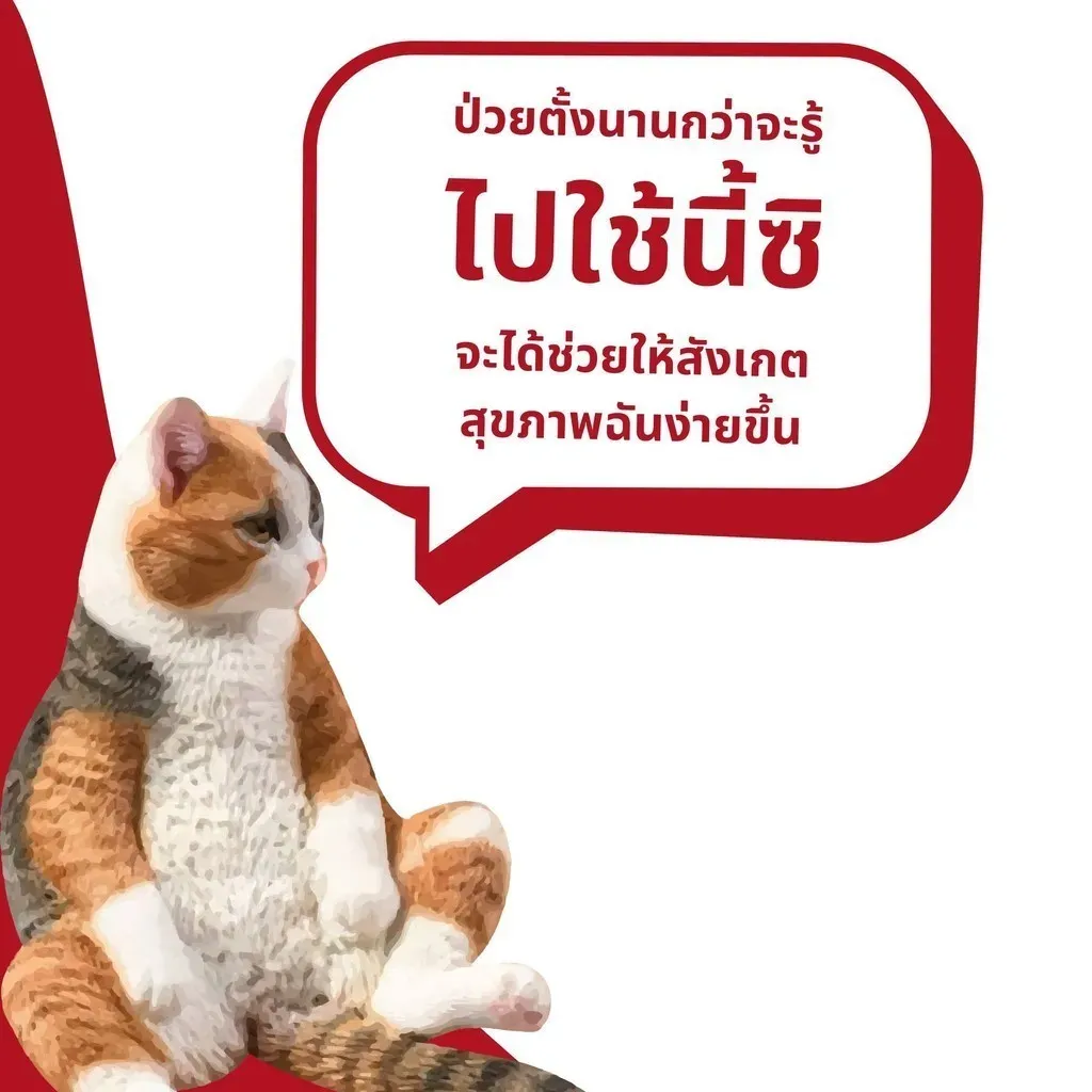 Bioline ทรายเต้าหู้ตรวจฉี่ Urinary Indicator Cat Litter 6L