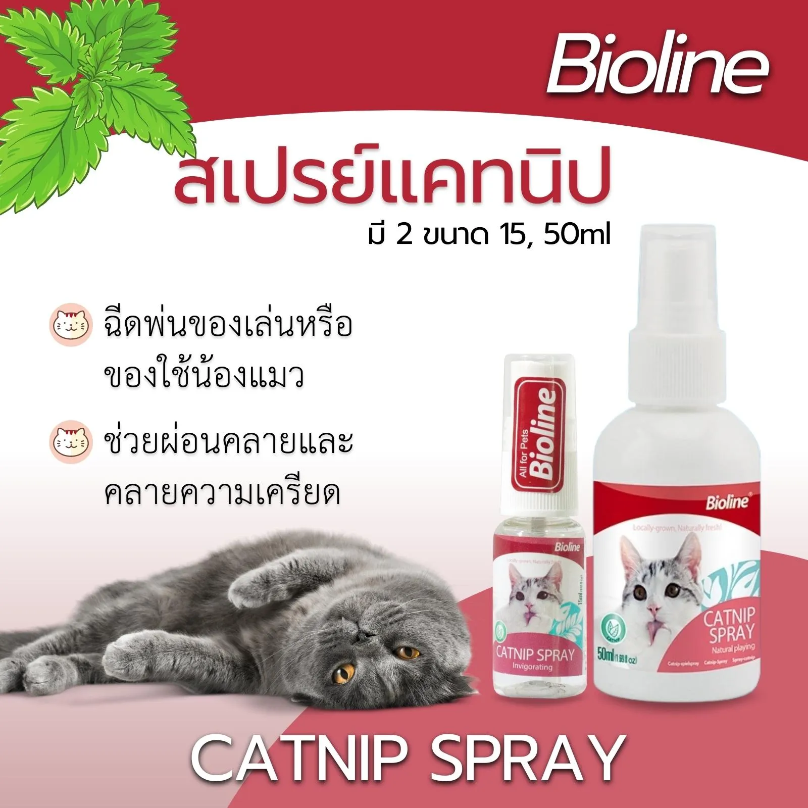 Bioline แคทนิปสเปรย์ Catnip Spray 15Ml.