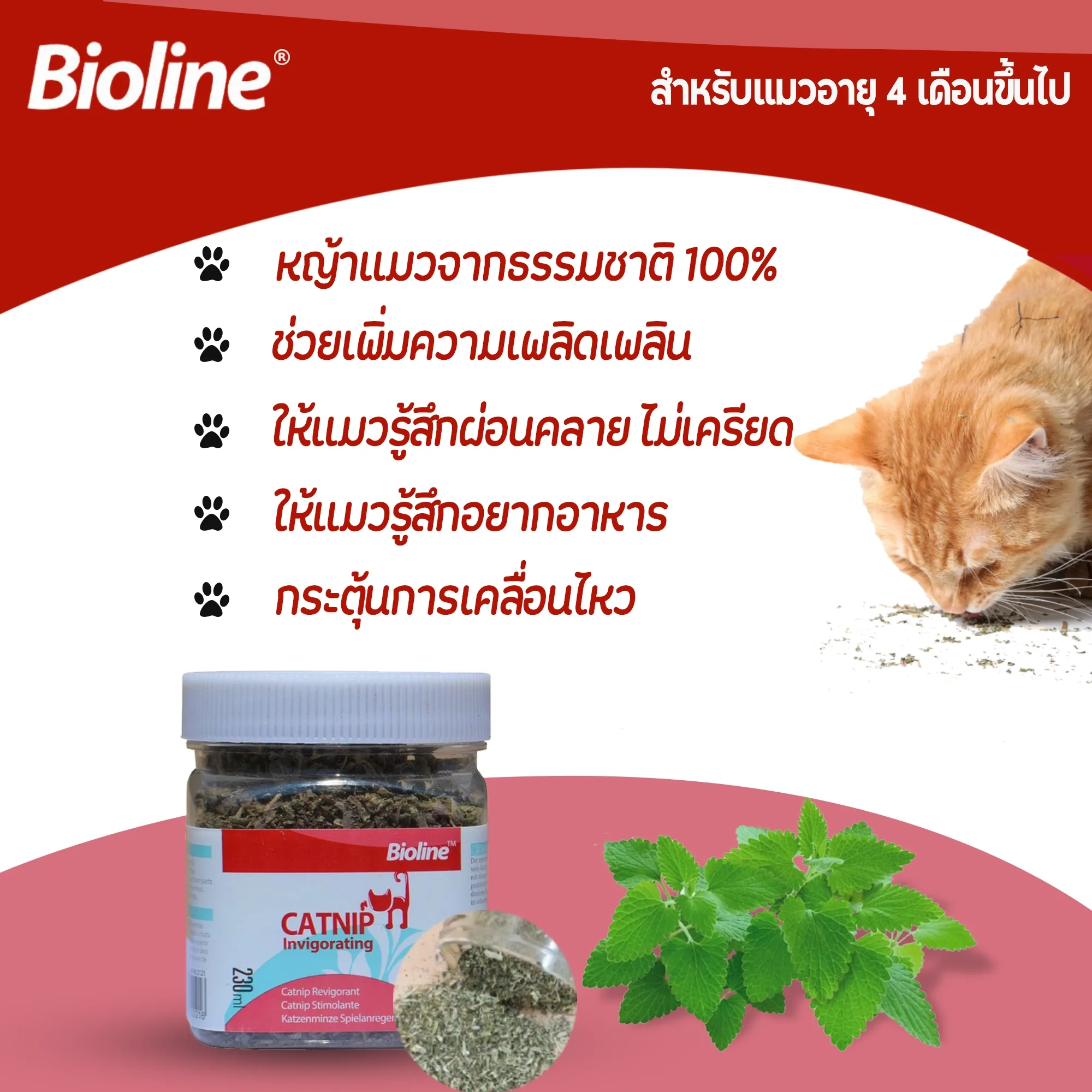 Bioline แคทนิปสำหรับแมว