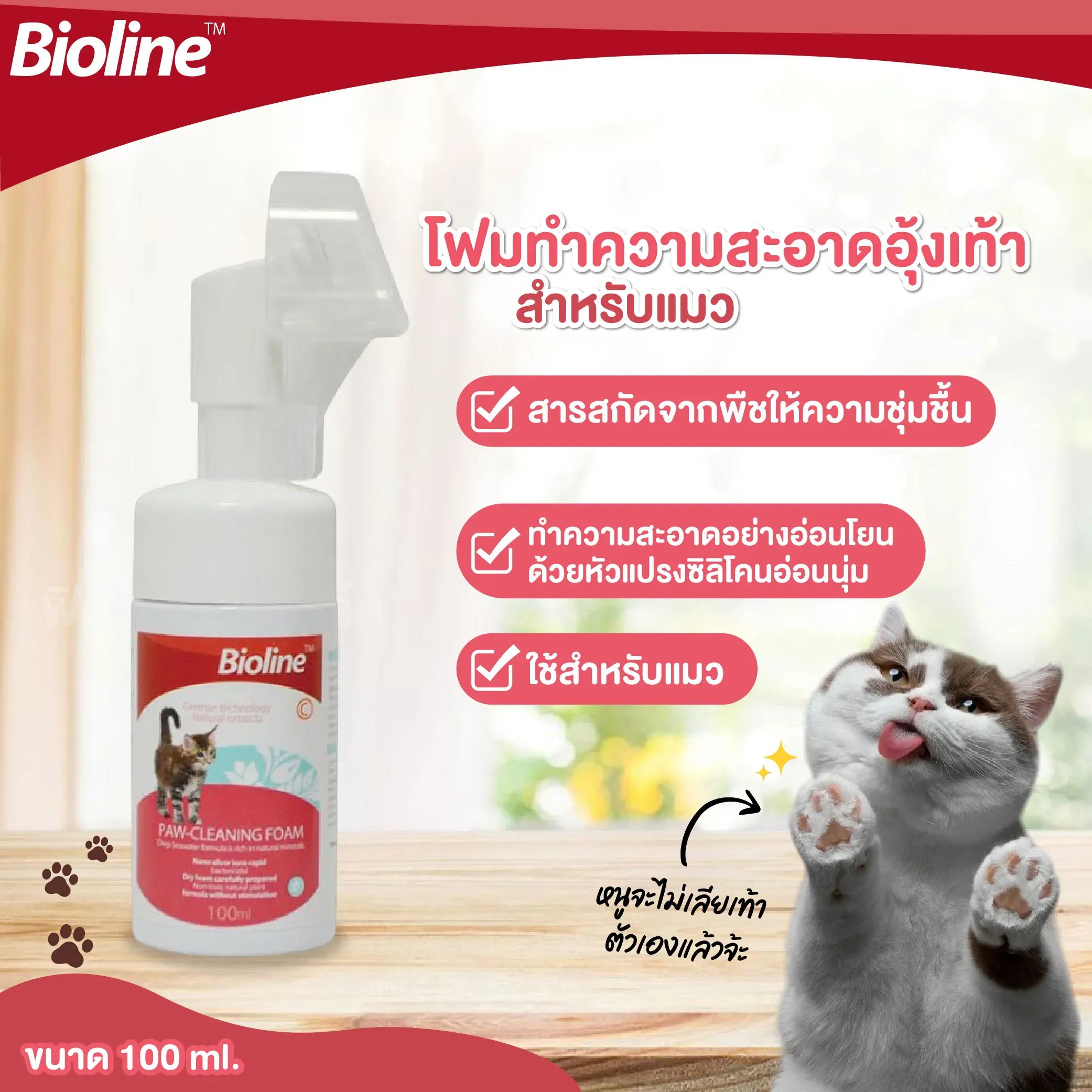 ไบโอไลนโฟมอุ้งเท้าแมว Pawfoam Cat 100Ml
