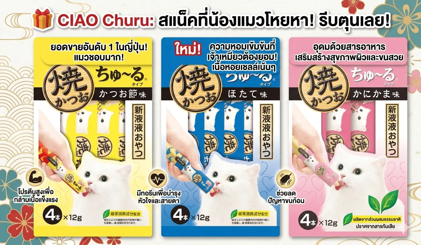 Ciao ชูหรุแมวเลีย สูตรปลาทูน่าย่าง