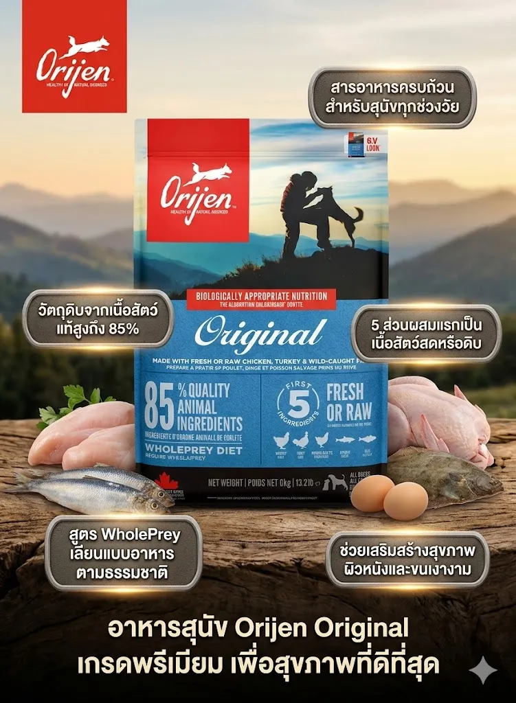 Orijen Original Adult Dog สำหรับสุนัขโตทุกสายพันธุ์
