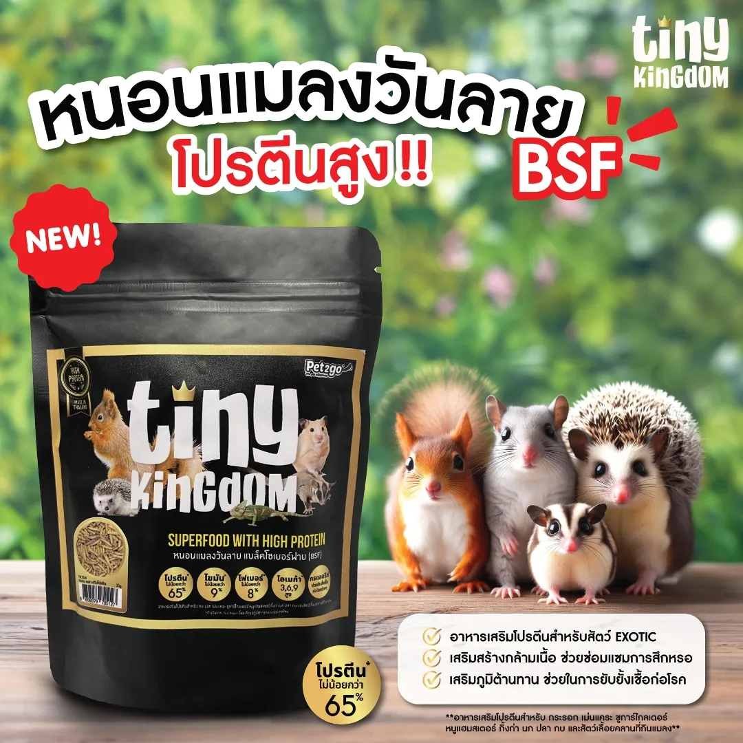 Tiny Kingdom อาหารสัตว์เล็ก หนอน Bsf เสริมโปรตีน ขนาด 30g