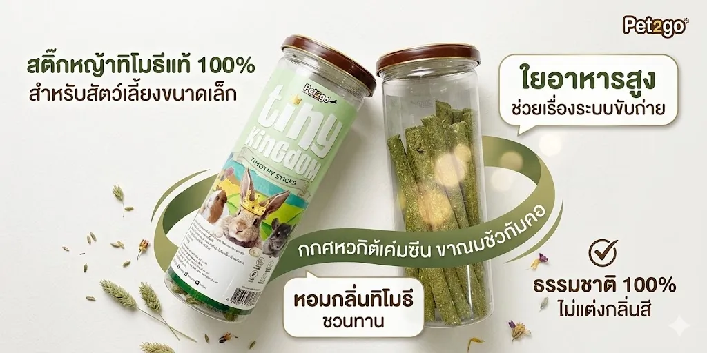 Tiny Kingdom Treats ทีโมธี สติ๊ก 12 แท่ง
