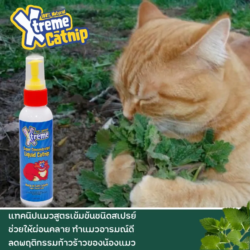 Xtreme Catnip - แบบสเปรย์ 4 Oz