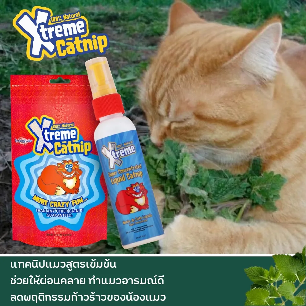 Xtreme Catnip - แบบสเปรย์ 4 Oz
