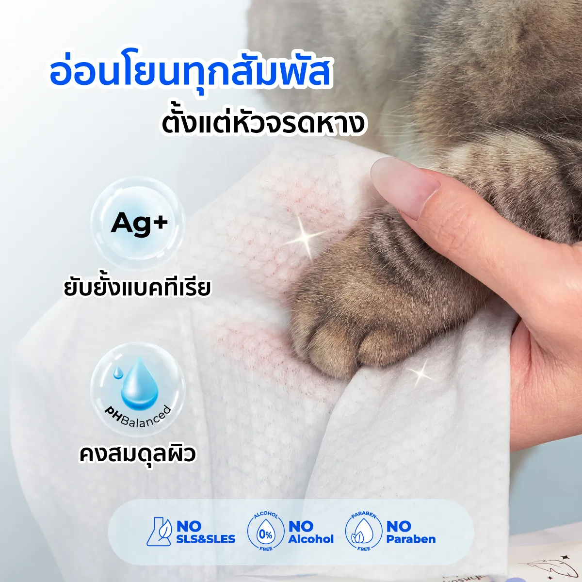 My Paws pet wipe ผ้าเปียกทำความสะอาด สำหรับสัตว์เลี้ยง