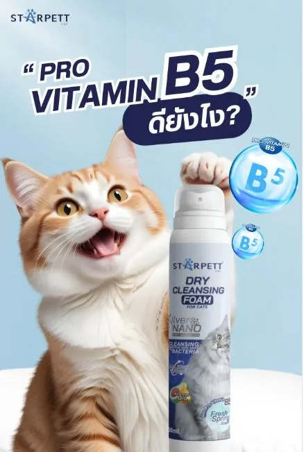 Starpett Day Cleansing Foam โฟมอาบน้ำแห้ง สำหรับแมว 50ml.