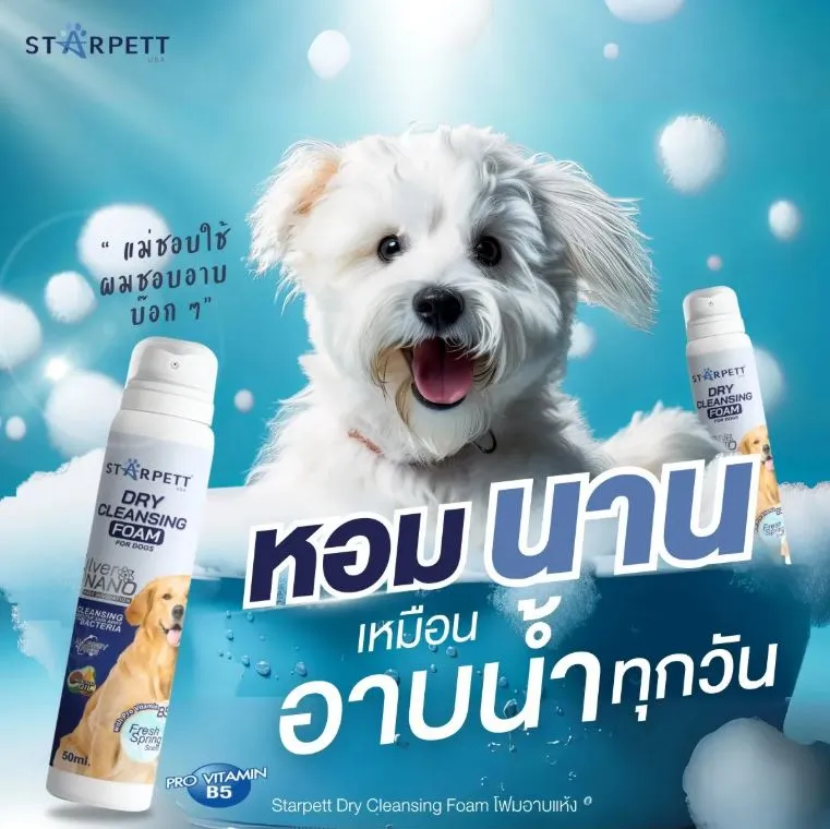 Starpett Day Cleansing Foam โฟมอาบน้ำแห้ง สำหรับสุนัข 50ml.