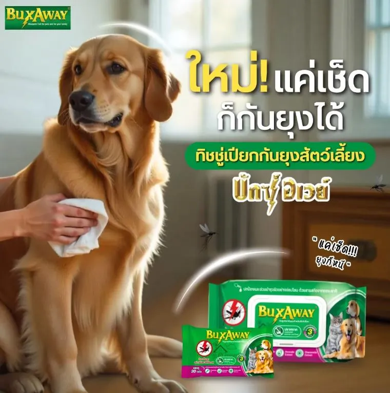 BuxAway ทิชชู่เปียกกันยุง สำหรับสัตว์เลี้ยง