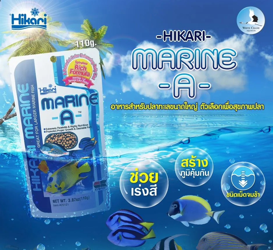 Hikari MARINE A อาหารปลาทะเลขนาดใหญ่ ช่วยเร่งสี ชนิดเม็ดจมช้า 110g.