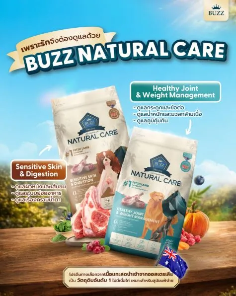 Buzz Natural Care อาหารเม็ดสำหรับสุนัขโตแพ้ง่าย สูตรแกะ