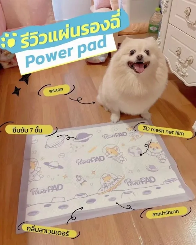 PowerPAD แผ่นรองซับแบบพกพา สำหรับสัตว์เลี้ยง