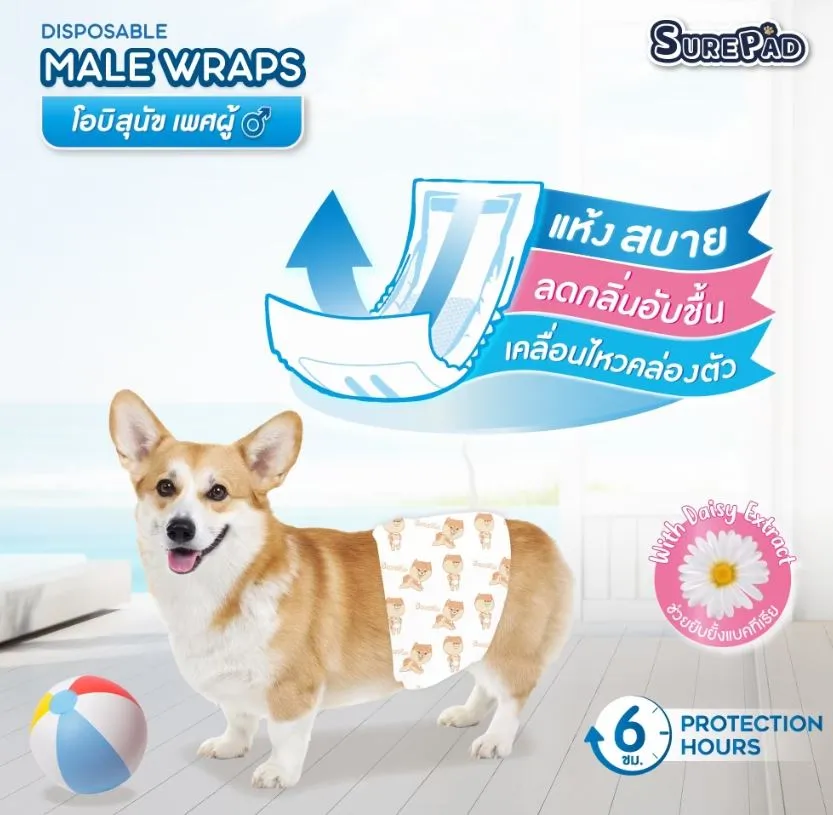SurePad Male Wraps โอบิ สำหรับสุนัขเพศผู้