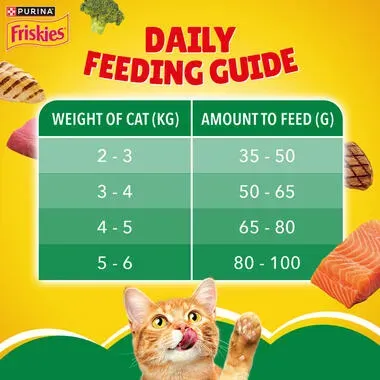 Friskies Indoor Delights สูตรแมวเลี้ยงในบ้าน ช่วยควบคุมก้อนขน