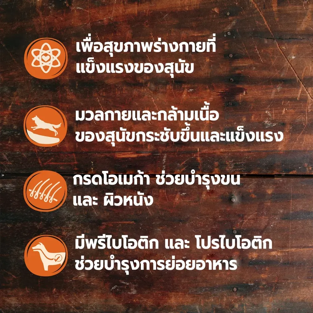 Wellness Core อาหารสุนัข สูตร Reduced Fat
