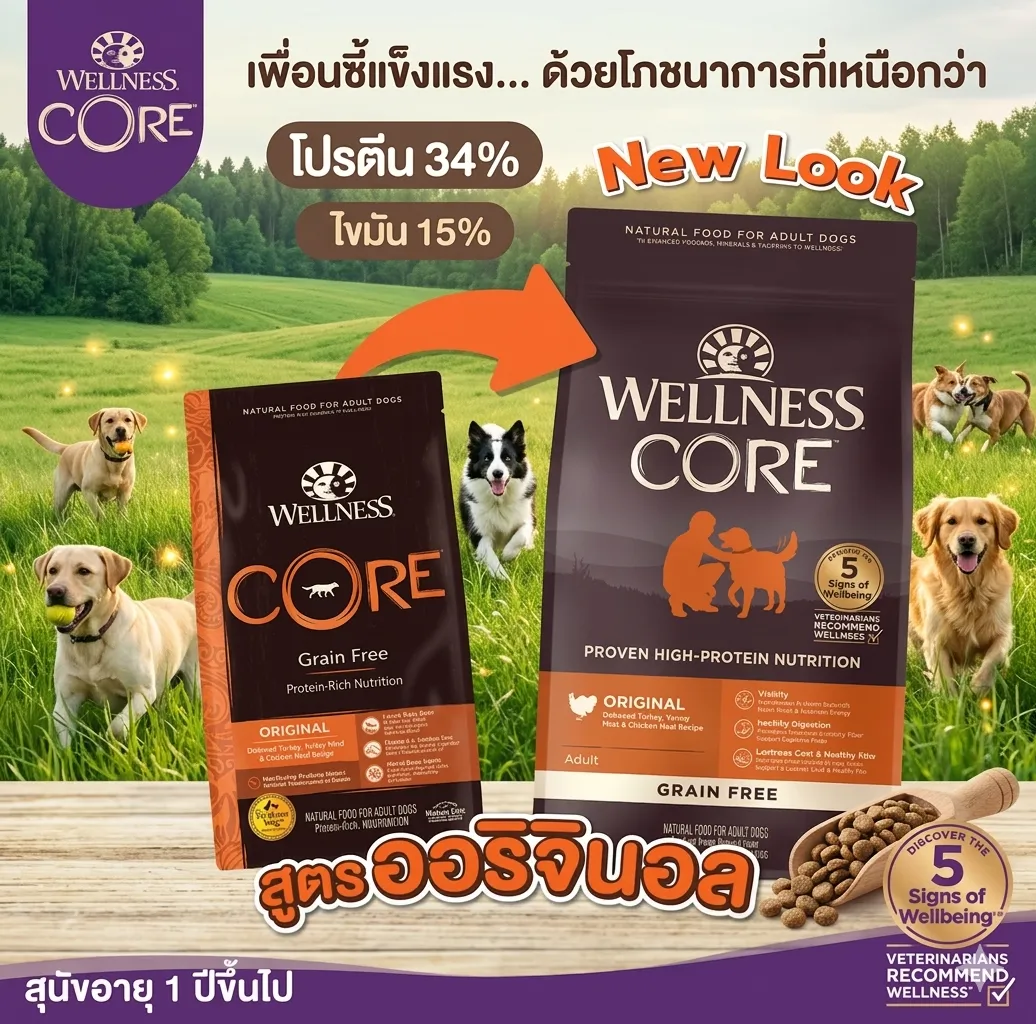 Wellness Core อาหารสุนัข สูตร Original