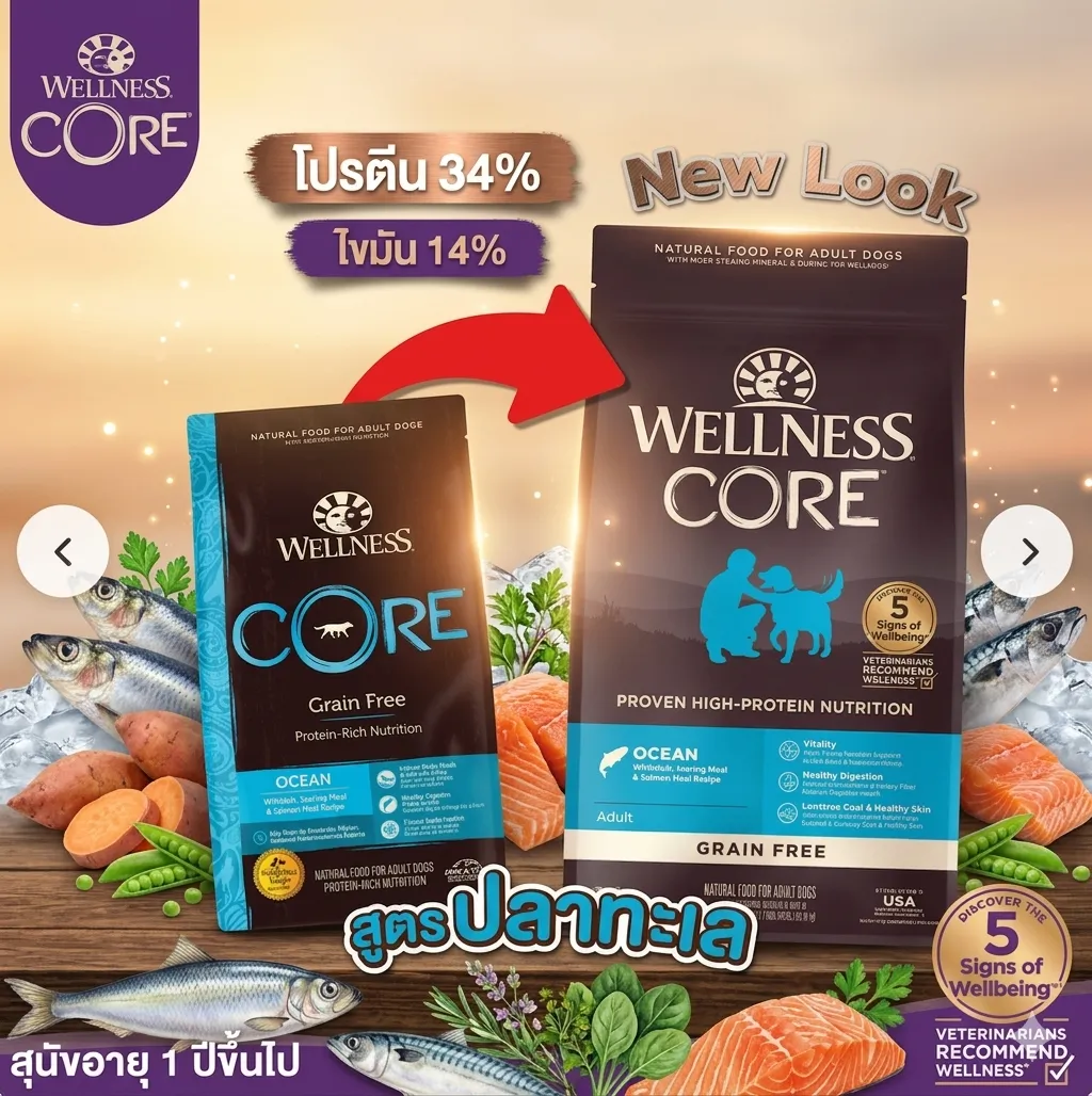 Wellness Core อาหารสุนัข สูตร Ocean