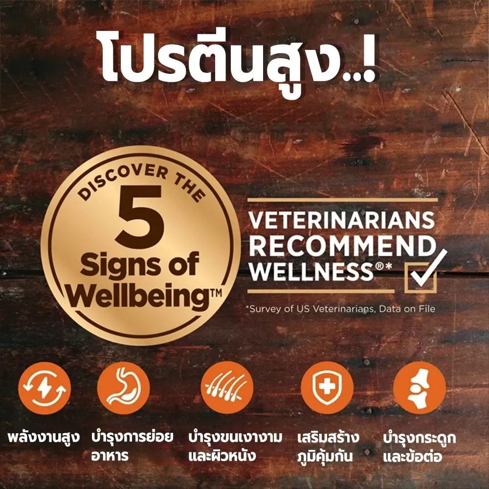Wellness Core อาหารสุนัข สูตร Ocean