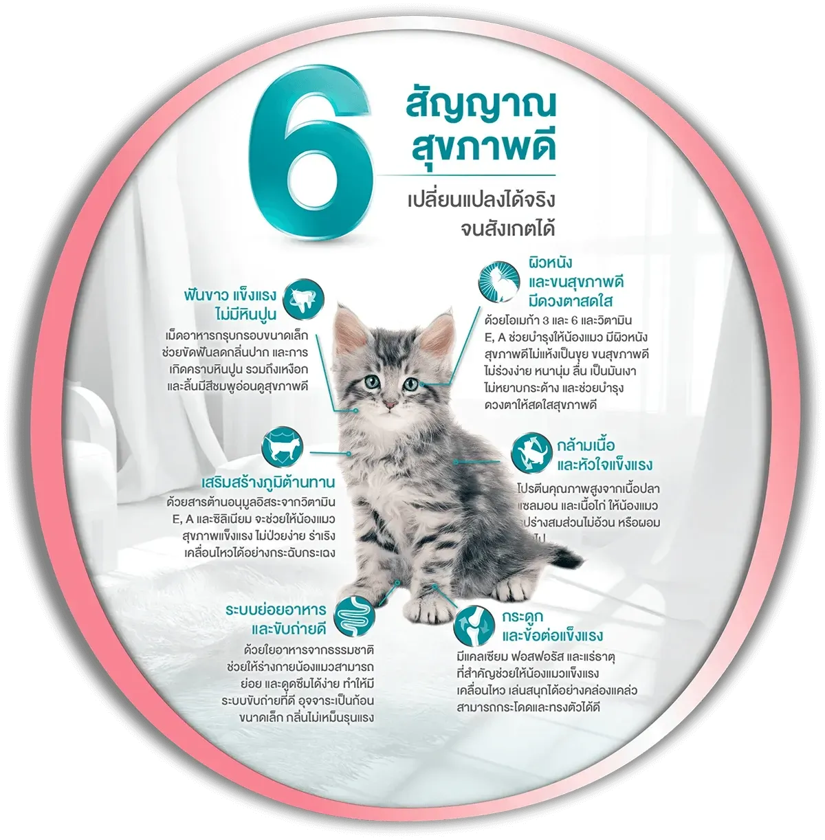Purina One Kitten สูตรลูกแมว
