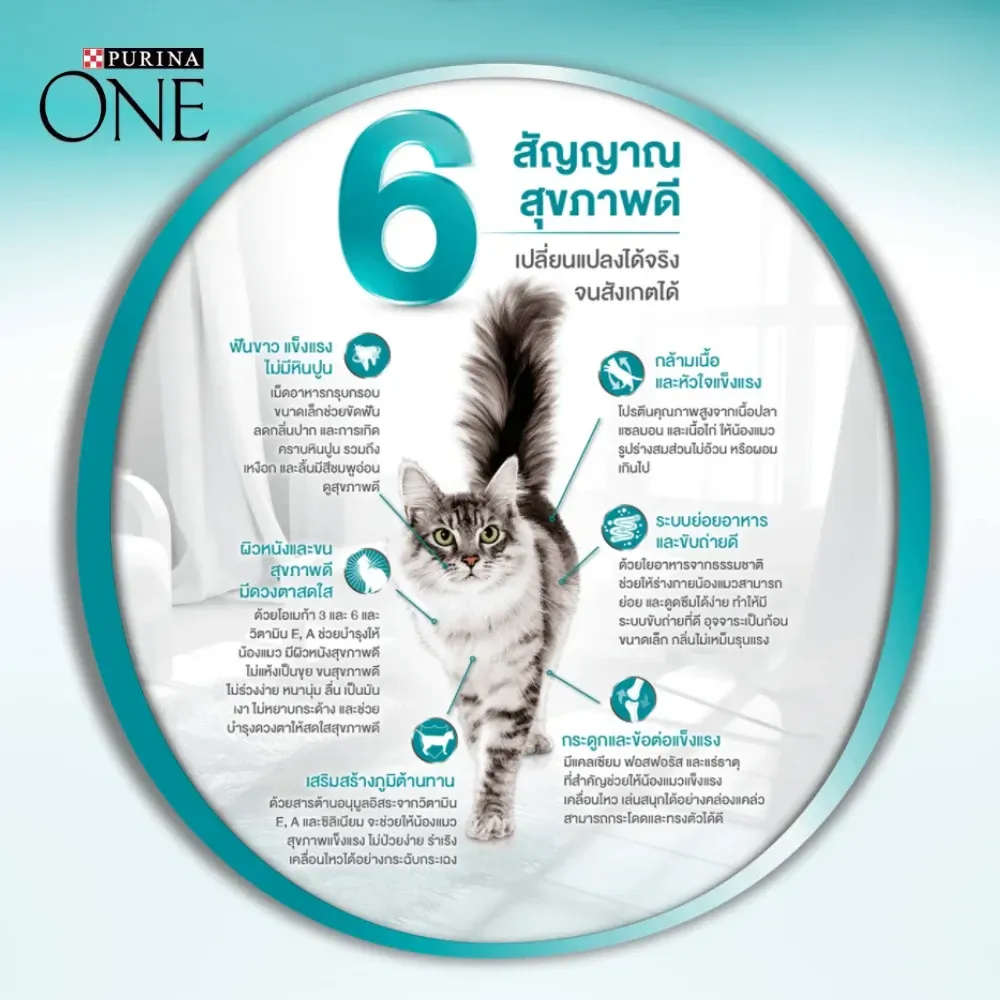 Purina One Indoor Advantage สูตรแมวเลี้ยงในบ้าน