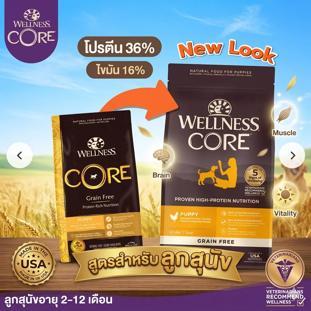 Wellness Core อาหารสุนัข สูตร Puppy