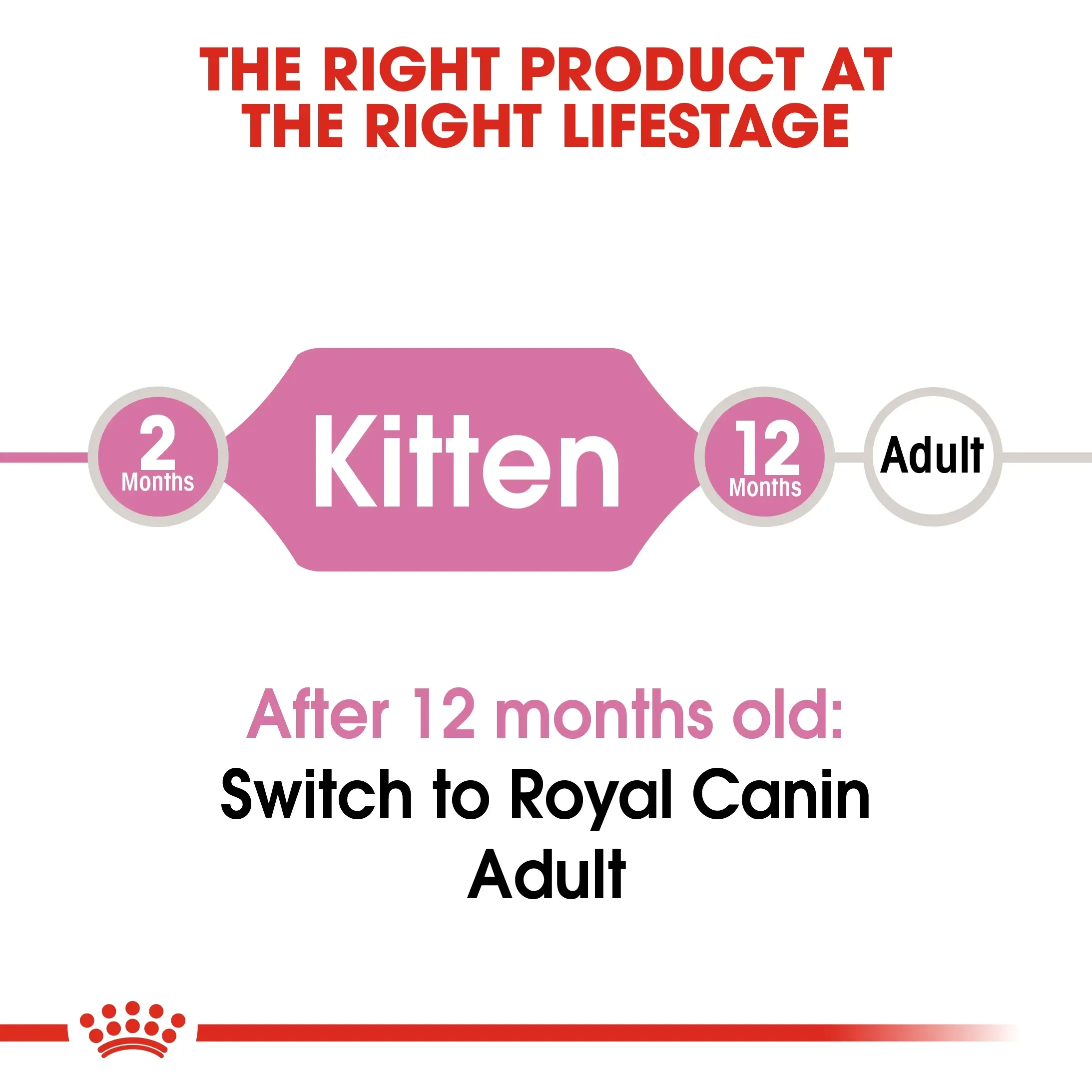 Royal Canin Kitten อาหารสำหรับลูกแมว4-12เดือน