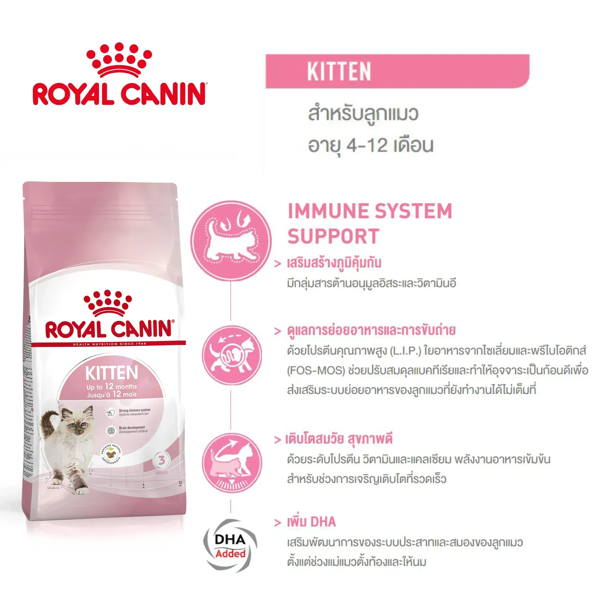Royal Canin Kitten อาหารสำหรับลูกแมว4-12เดือน