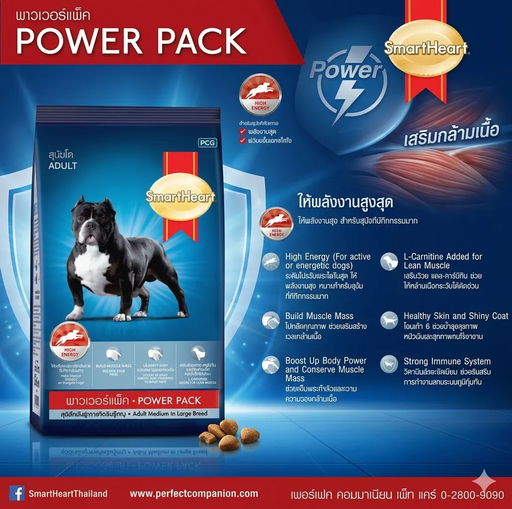 Smartheart Power Pack Adult อาหารเม็ดสำหรับสุนัขโตพันธุ์กลาง-ใหญ่