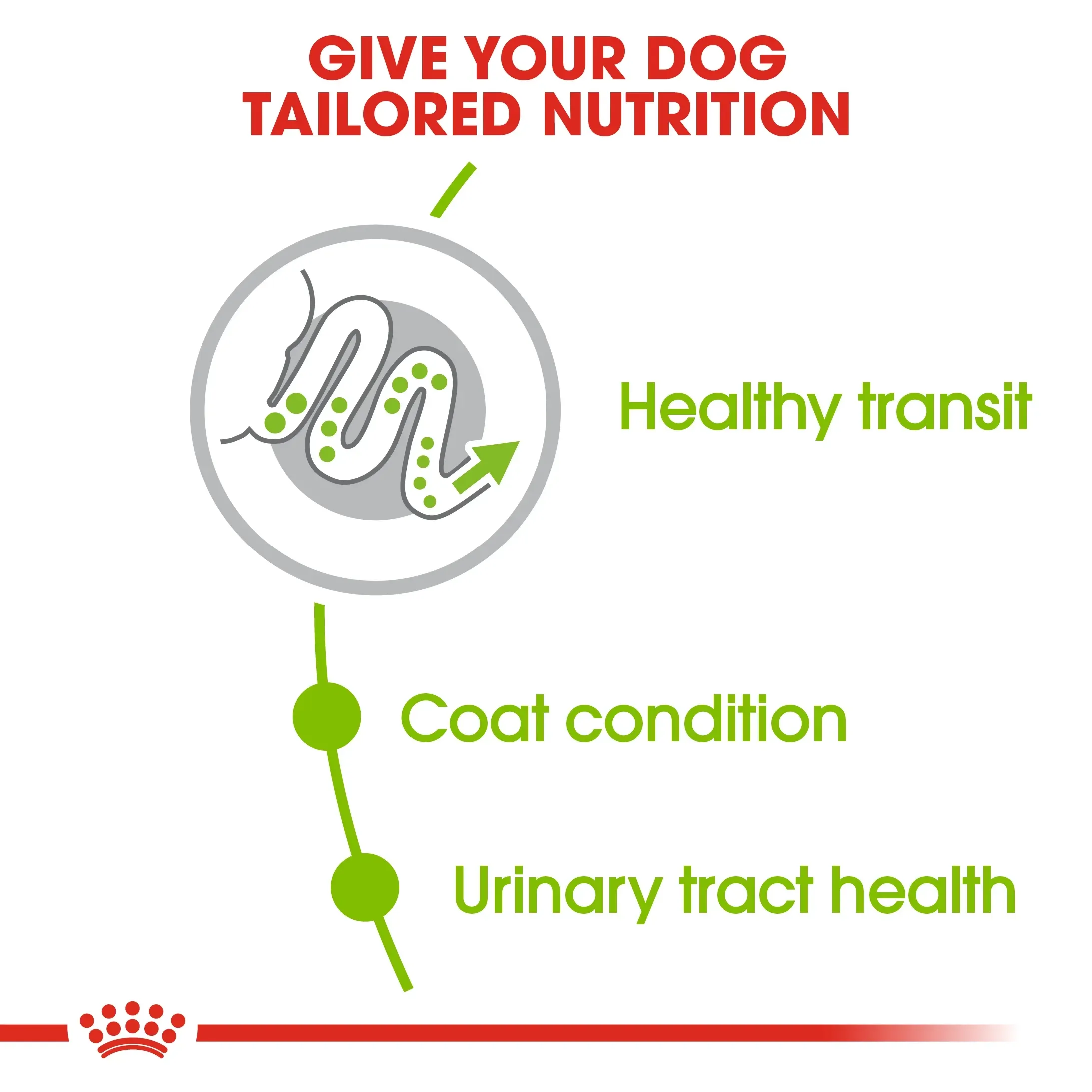 Royal Canin X Small Adult อาหารสำหรับสุนัขโตพันธุ์จิ๋ว