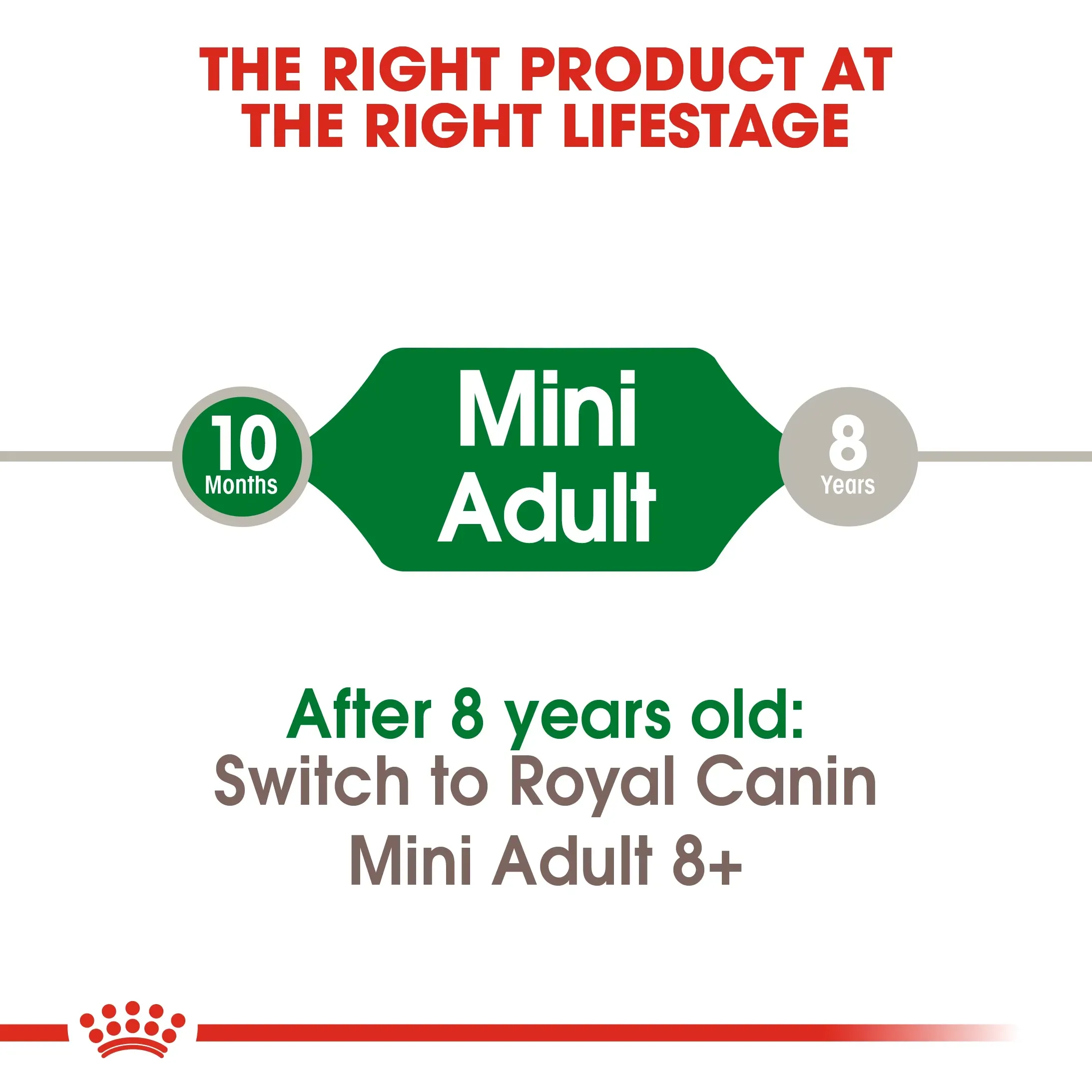 Royal Canin Mini Adult อาหารสำหรับสุนัขโตพันธุ์เล็ก