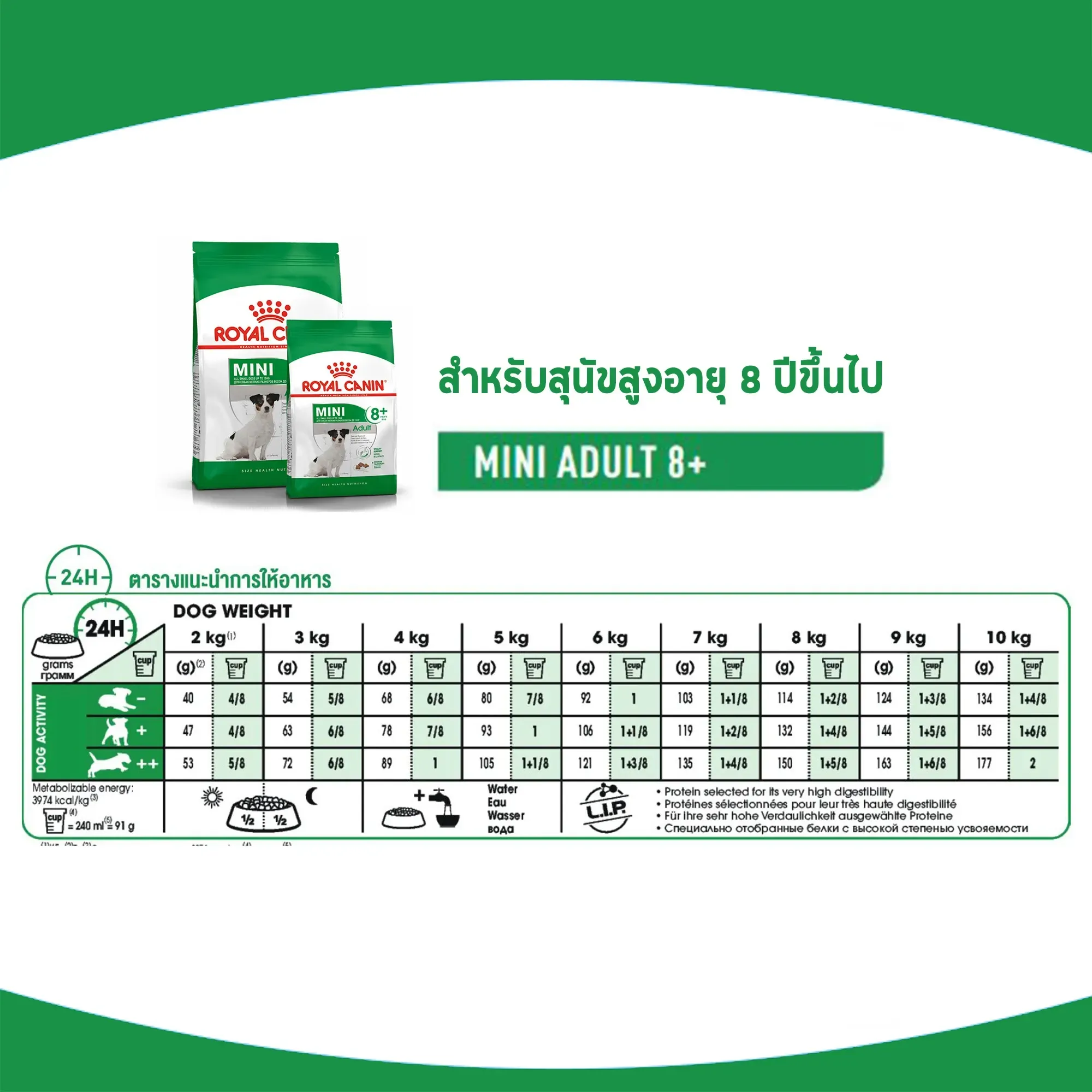 Royal Canin Mini Adult 8+ อาหารสำหรับสุนัขโตพันธุ์เล็ก อายุ 8 ปีขึ้นไป