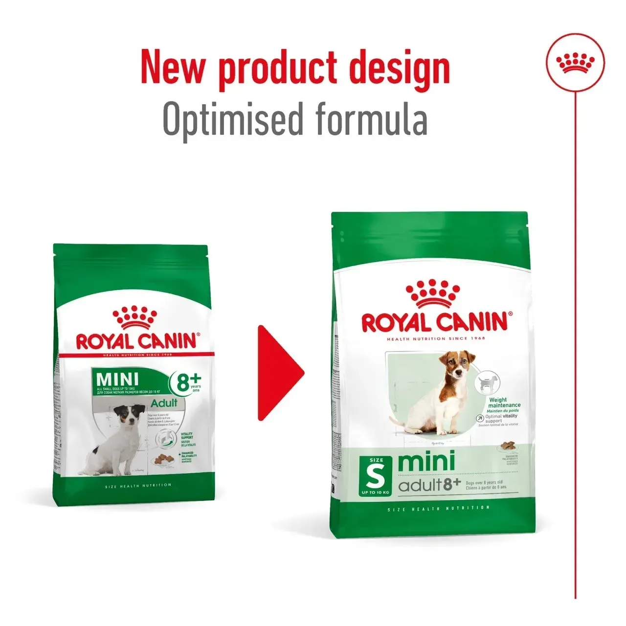 Royal Canin Mini Adult 8+ อาหารสำหรับสุนัขโตพันธุ์เล็ก อายุ 8 ปีขึ้นไป