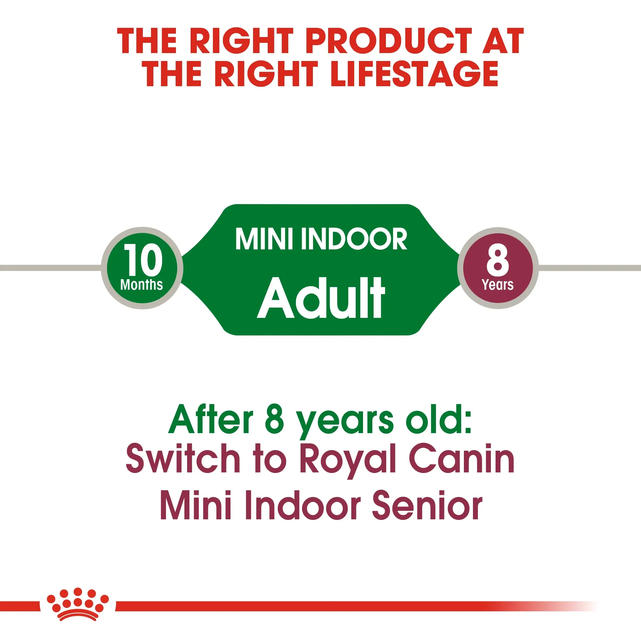 Royal Canin Mini Indoor Adult อาหารสำหรับสุนัขโตพันธุ์เล็ก สูตรเลี้ยงในบ้าน