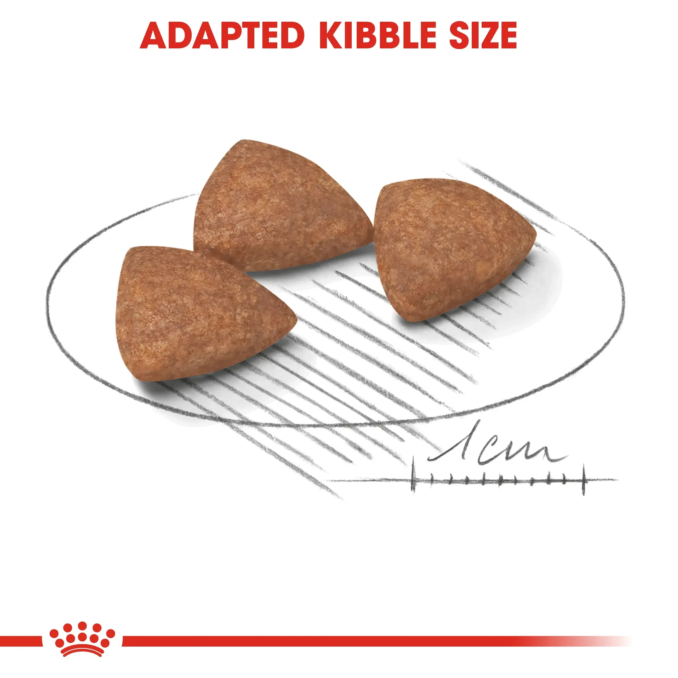 Royal Canin Mini Indoor Adult อาหารสำหรับสุนัขโตพันธุ์เล็ก สูตรเลี้ยงในบ้าน
