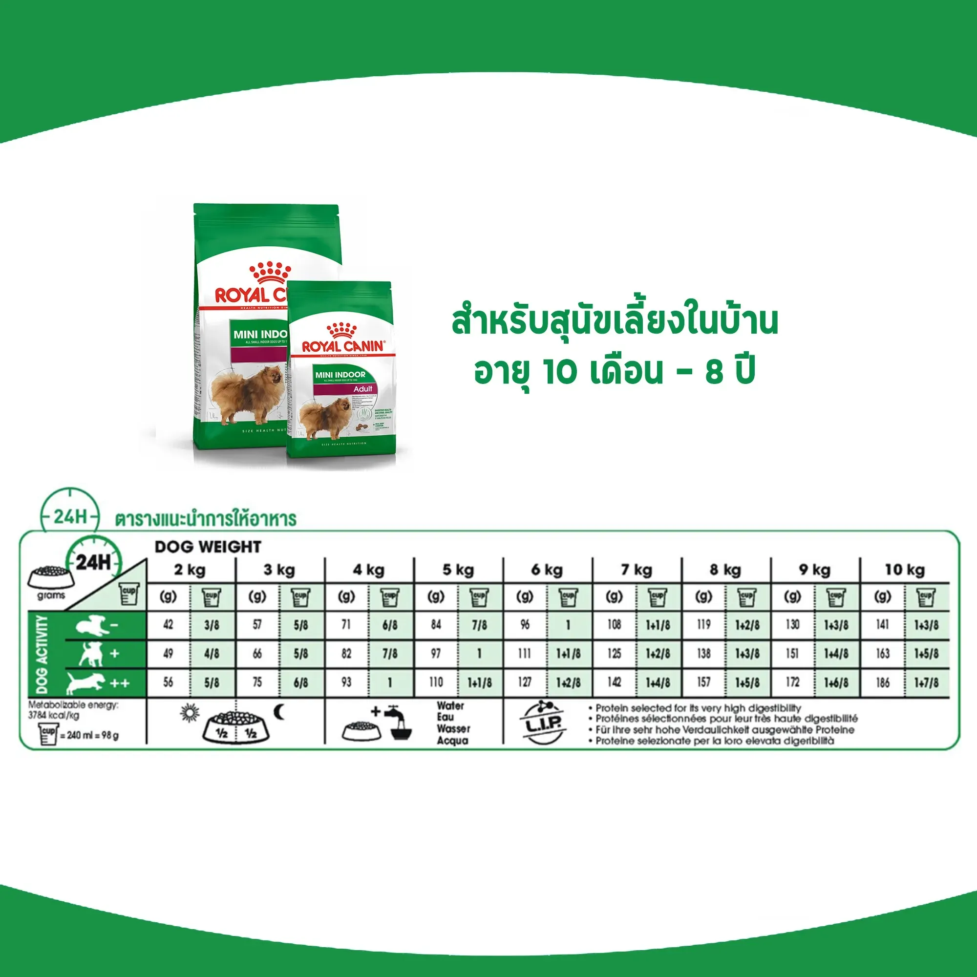 Royal Canin Mini Indoor Adult อาหารสำหรับสุนัขโตพันธุ์เล็ก สูตรเลี้ยงในบ้าน
