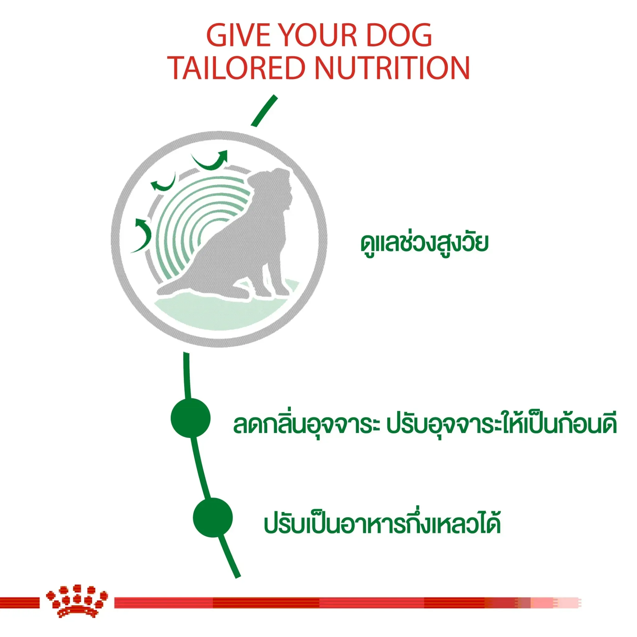 Royal Canin Mini Indoor Senior อาหาร สำหรับสุนัขสูงวัยพันธุ์เล็ก สูตรเลี้ยงในบ้าน
