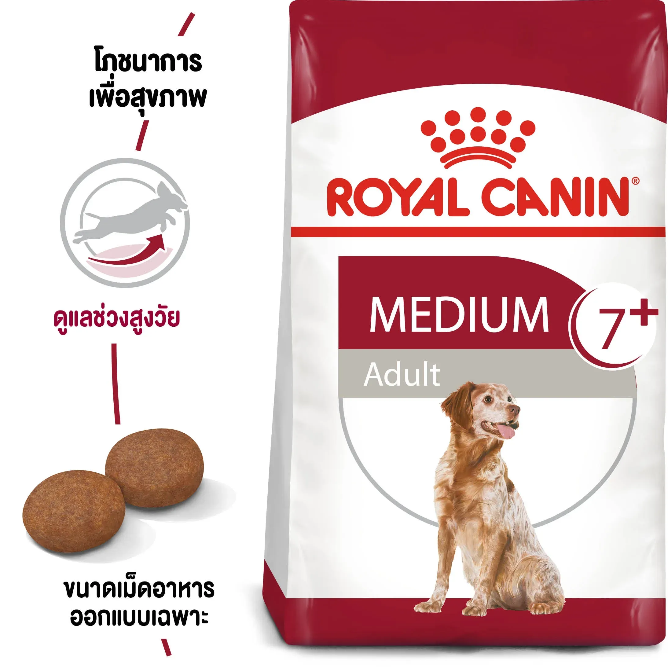 Royal Canin Medium Adult7+ อาหารสำหรับสุนัขพันธุ์กลางสูงวัย 7 ปีขึ้นไป