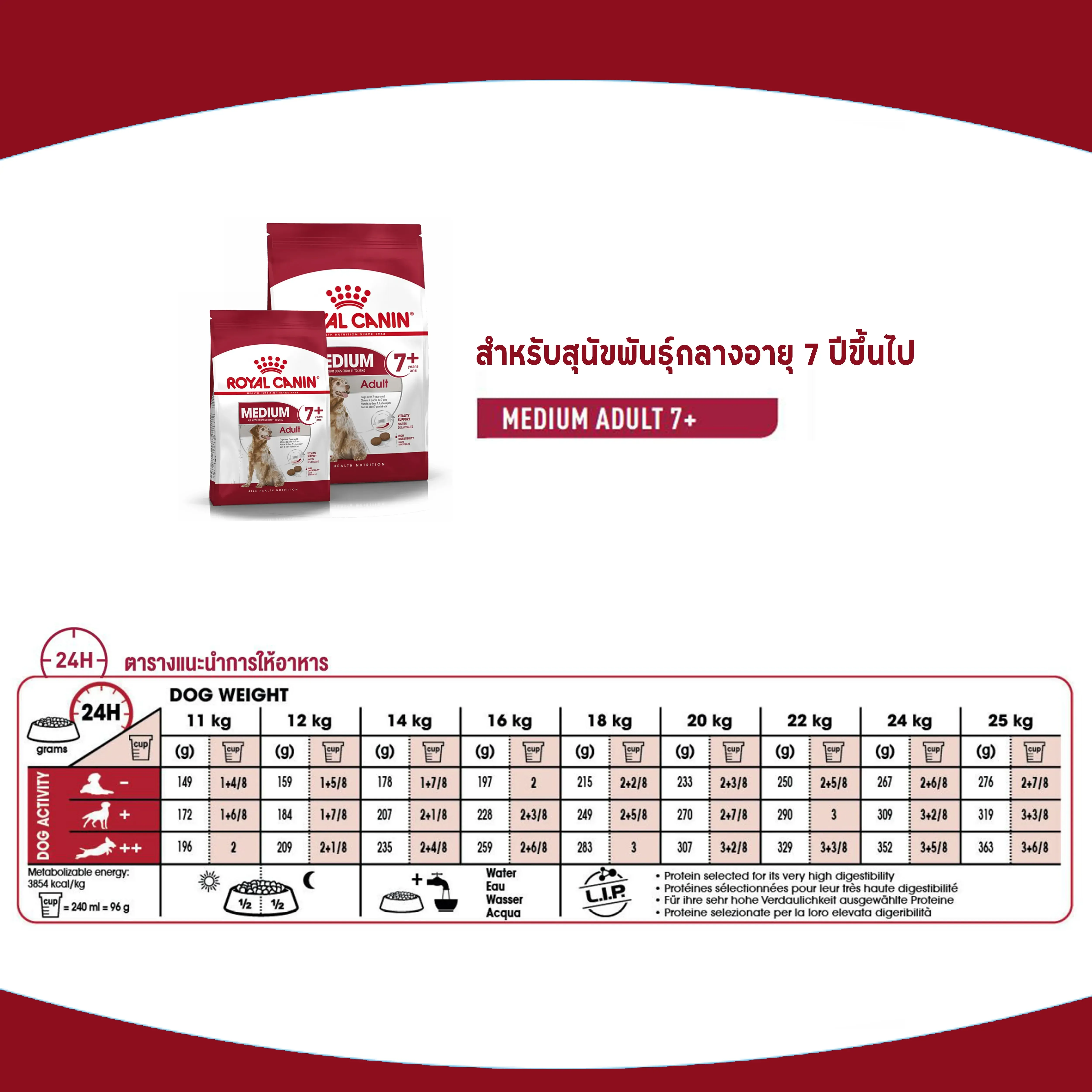 Royal Canin Medium Adult7+ อาหารสำหรับสุนัขพันธุ์กลางสูงวัย 7 ปีขึ้นไป